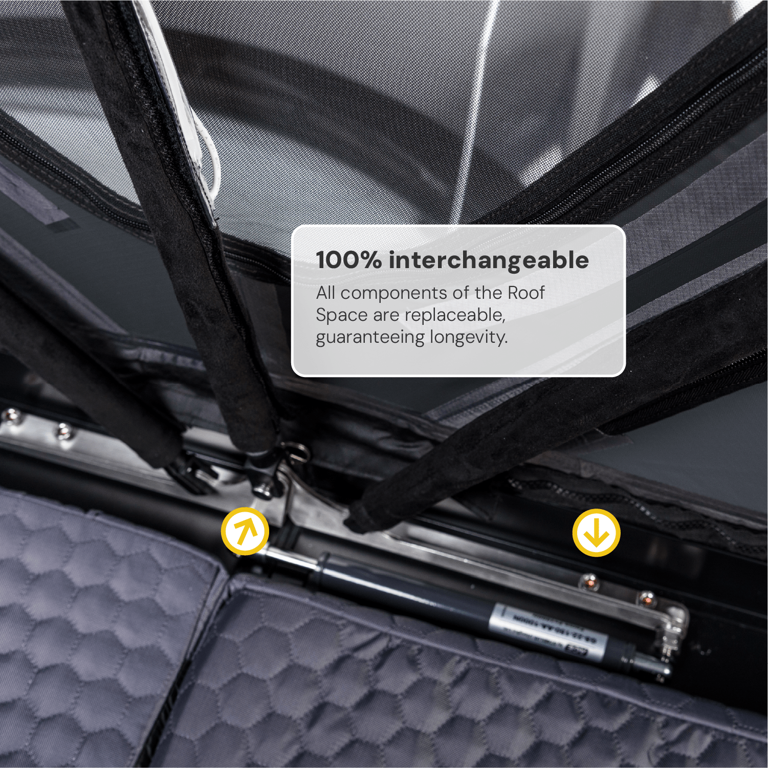 Roof Space 4 + Light Base Awning Anniversary Bundle