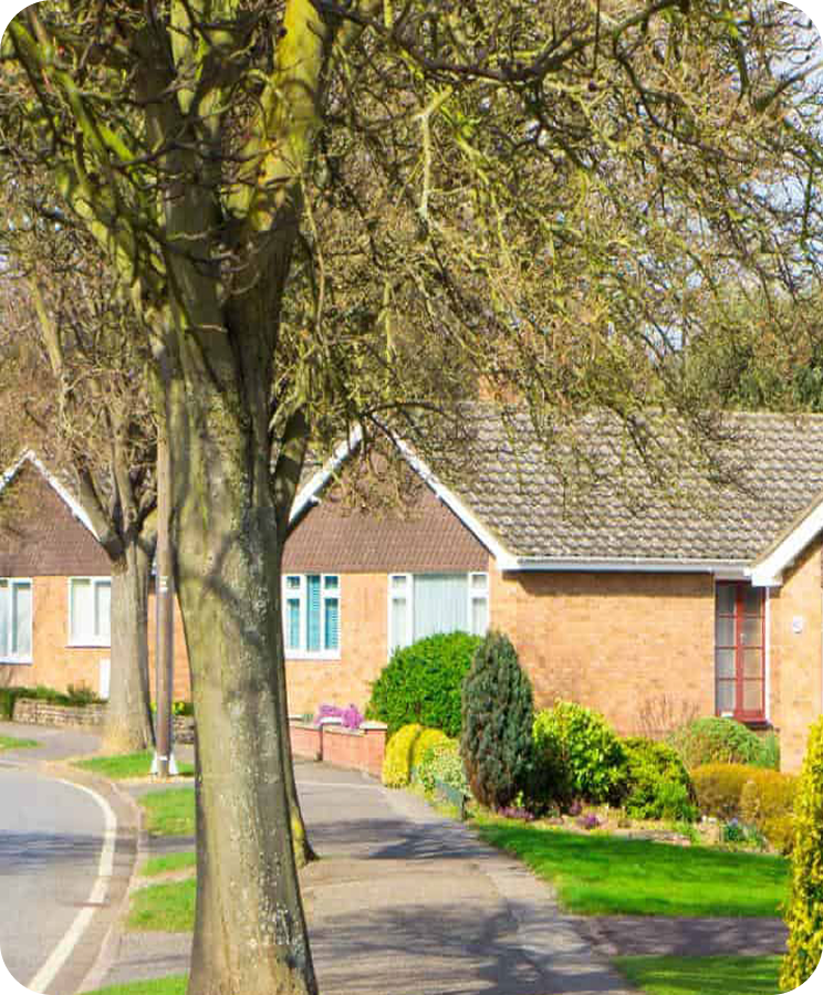 Vorstädtische Straße mit Wohnhäusern im Hintergrund, Bäumen im Vordergrund, sonnigem Tageslicht und gepflegten Gärten.