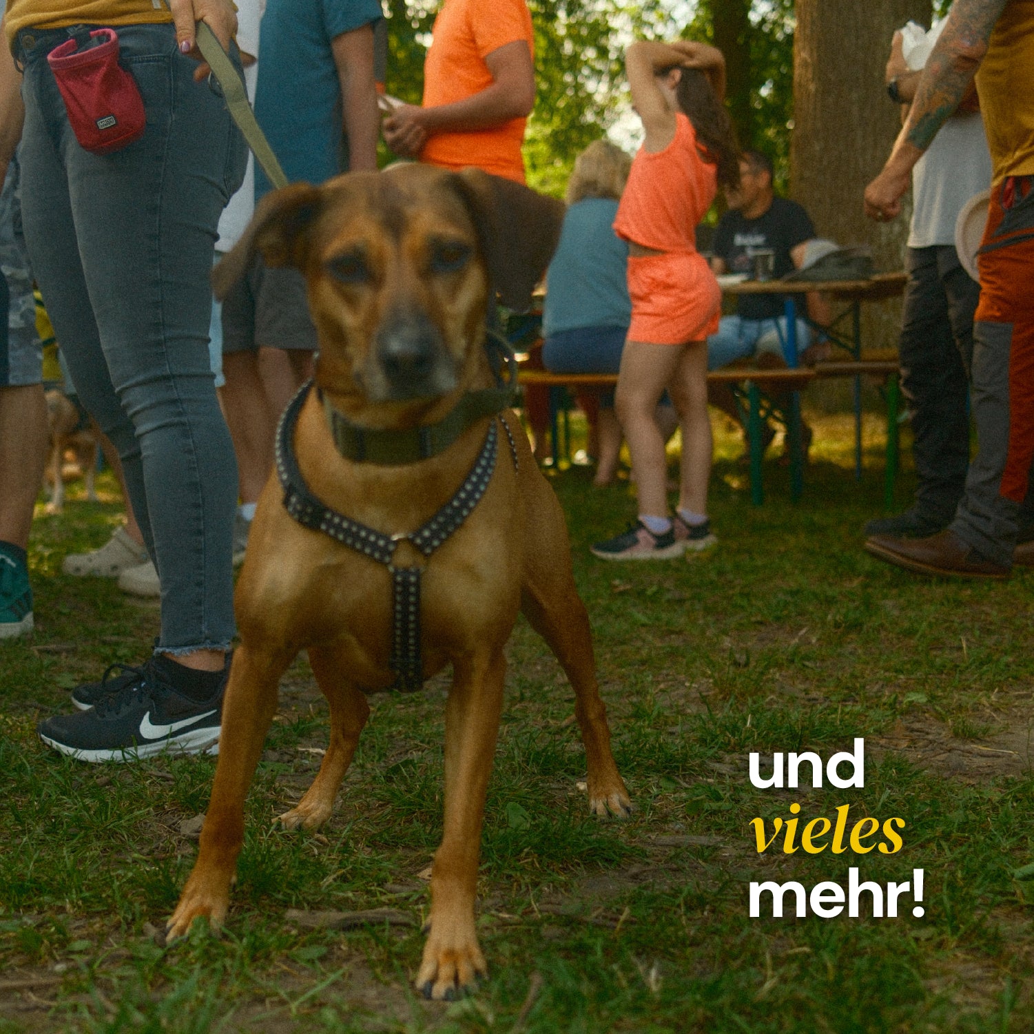 Community Event Tickets 2027